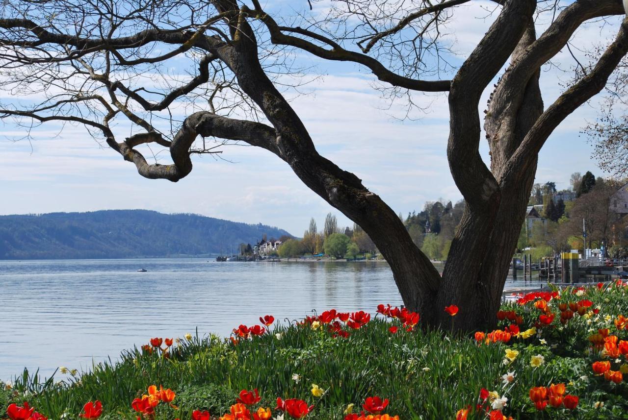 Buergerbraeu Hotel Überlingen Kültér fotó